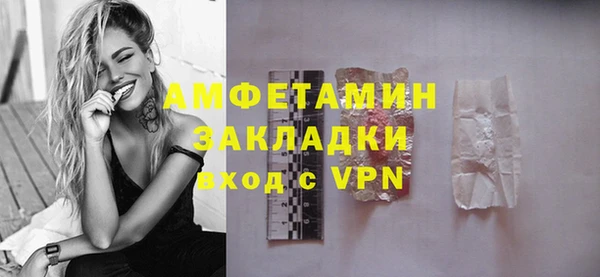 молекула духа Тайга