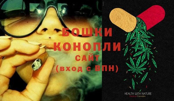соль ск Белокуриха