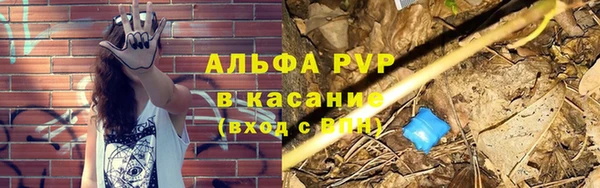 ГАЛЛЮЦИНОГЕННЫЕ ГРИБЫ Вяземский