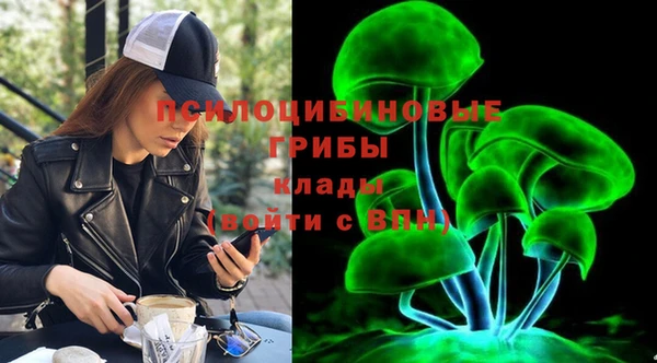 ГАЛЛЮЦИНОГЕННЫЕ ГРИБЫ Вяземский