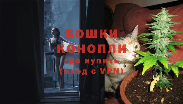 соль ск Белокуриха